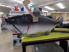 MAIL BOX.  Large rubbery cat fish.  Find in tools
$56.30